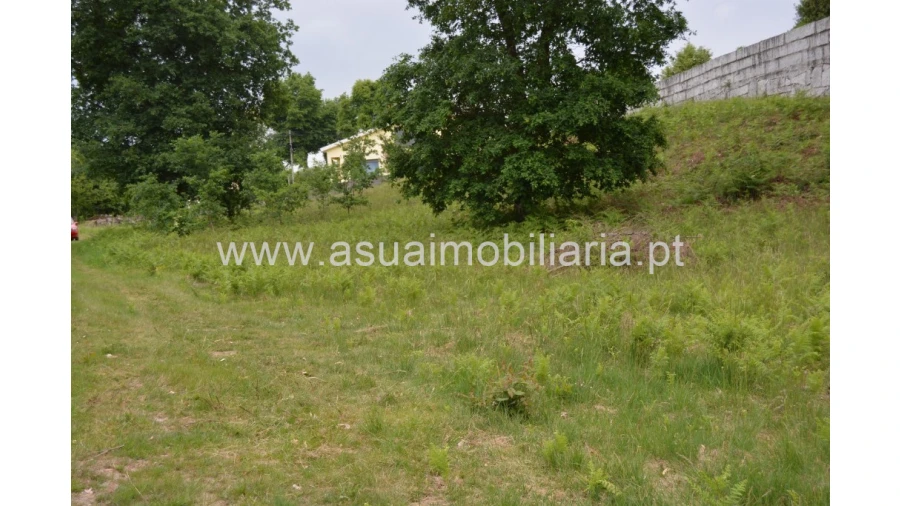 Terreno para Venda em Tabuaças Foto 1
