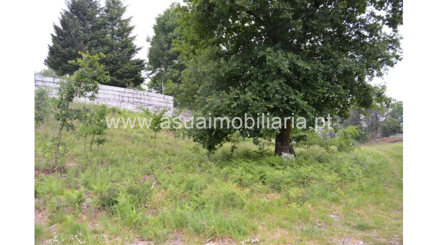 Terreno para Venda em Tabuaças Foto 6