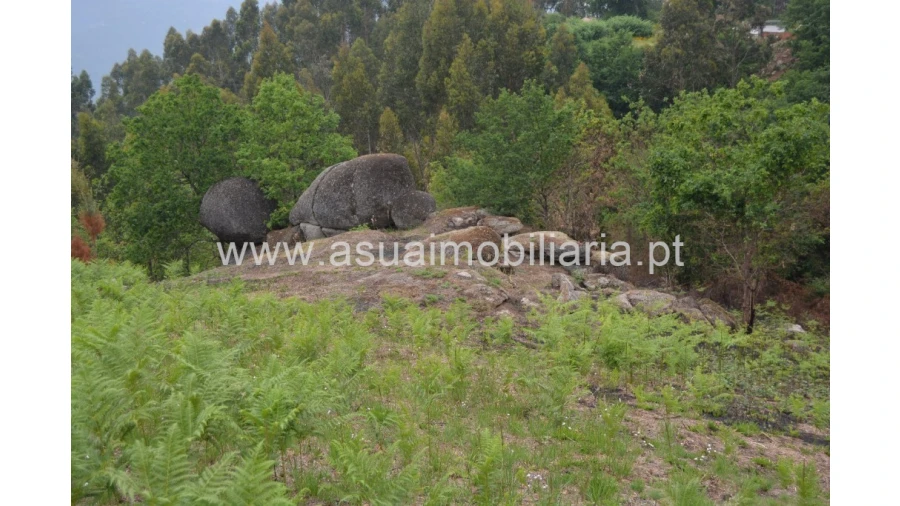 Terreno para Venda em Tabuaças Foto 3