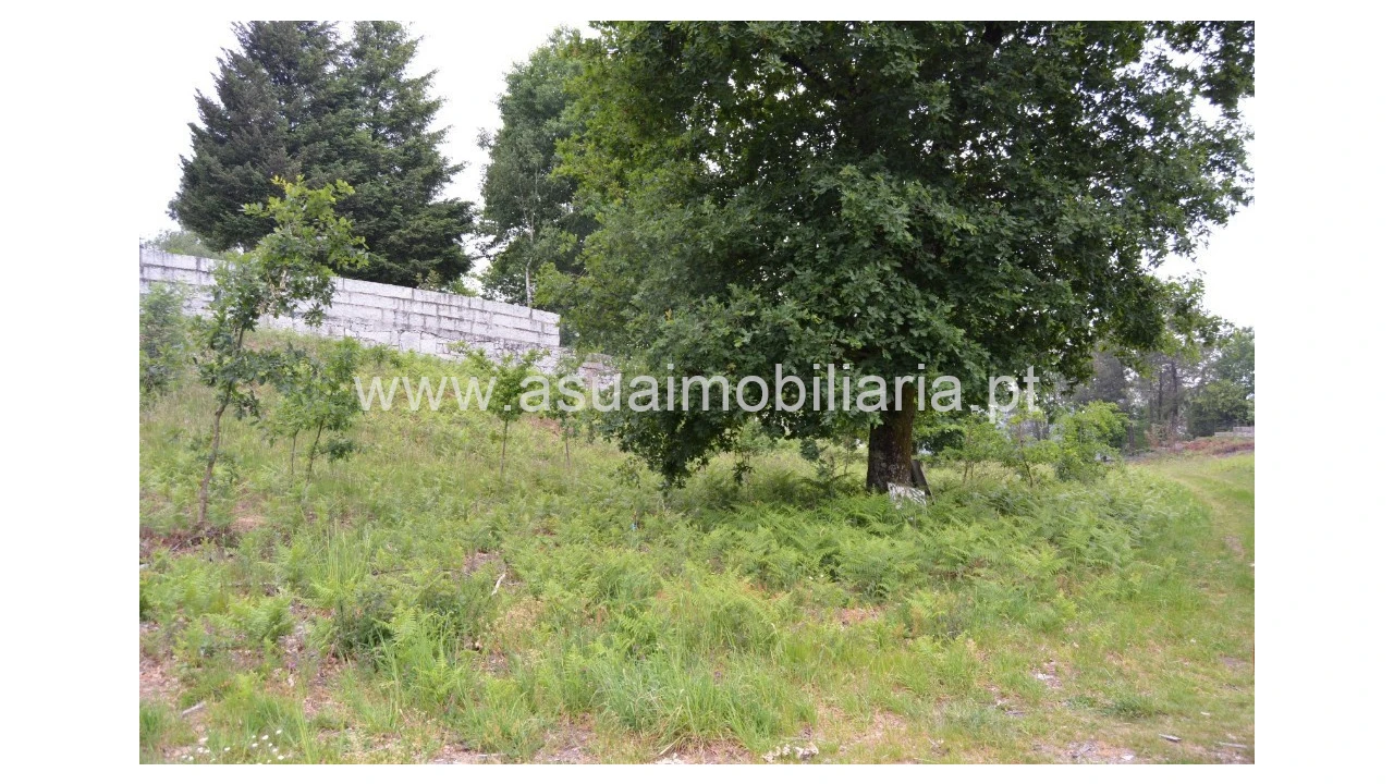 Terreno para Venda em Tabuaças Foto 6
