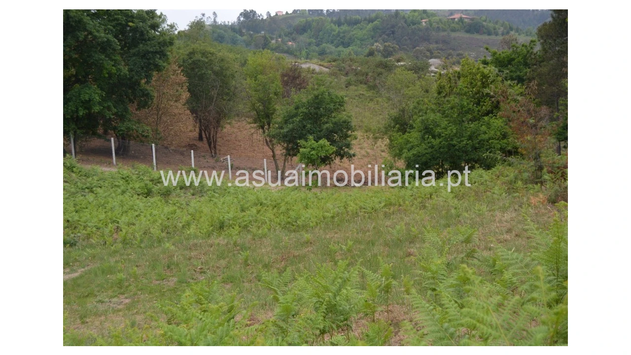 Terreno para Venda em Tabuaças Foto 4