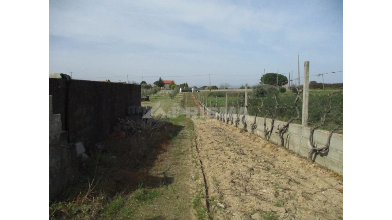 Terreno para Venda em Castelo Branco Foto 4