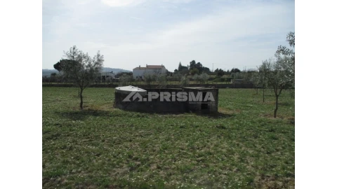 Terreno para Venda em Castelo Branco