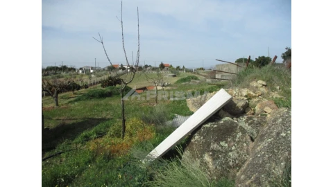 Terreno para Venda em Castelo Branco