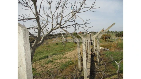 Terreno para Venda em Castelo Branco