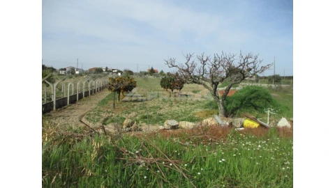 Terreno para Venda em Castelo Branco