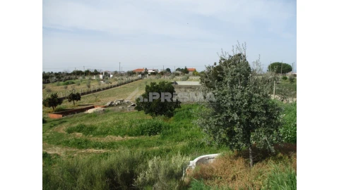 Terreno para Venda em Castelo Branco