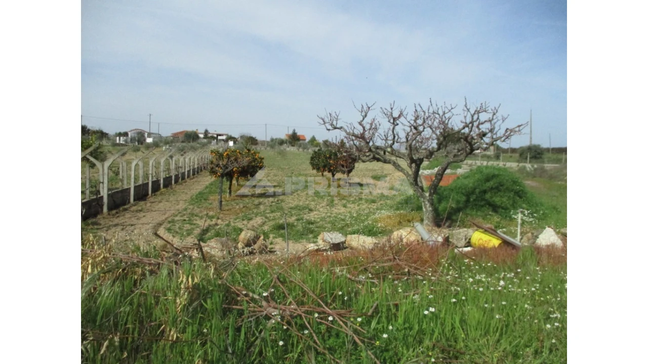 Terreno para Venda em Castelo Branco Foto 8