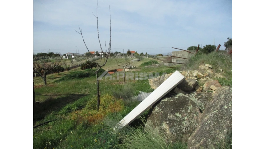 Terreno para Venda em Castelo Branco Foto 6