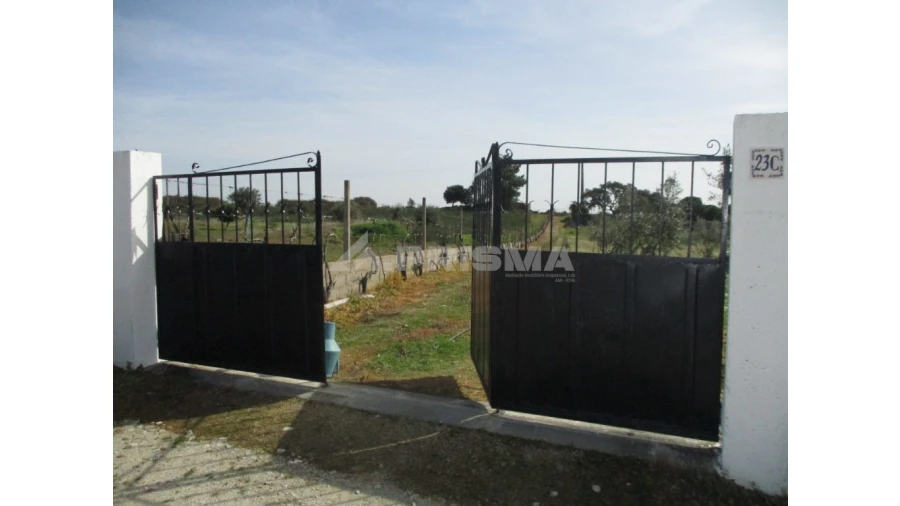 Terreno para Venda em Castelo Branco