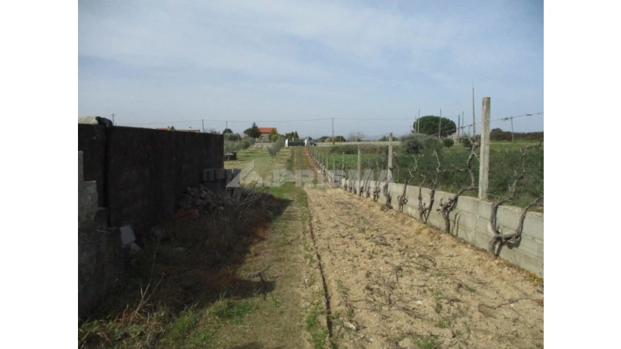 Terreno para Venda em Castelo Branco Foto 4
