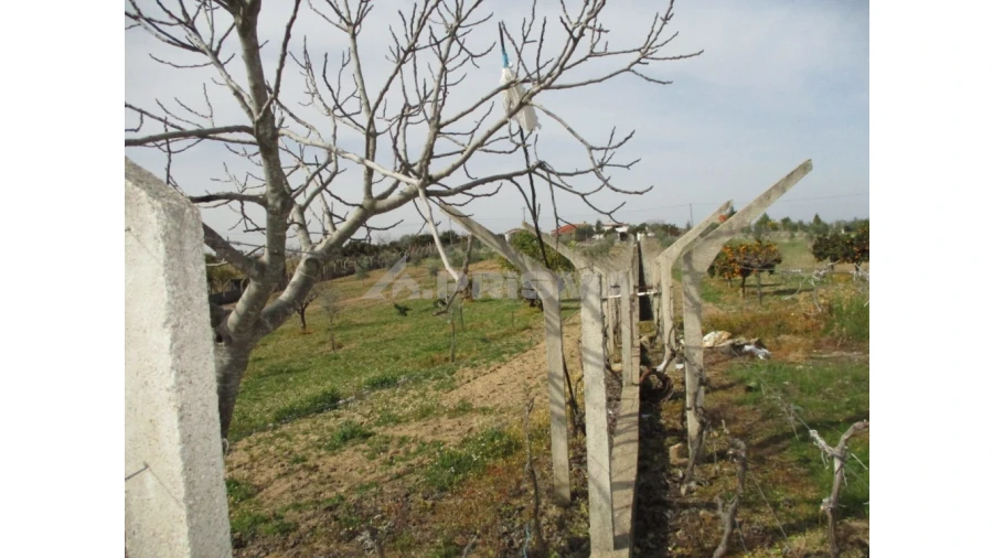 Terreno para Venda em Castelo Branco Foto 7