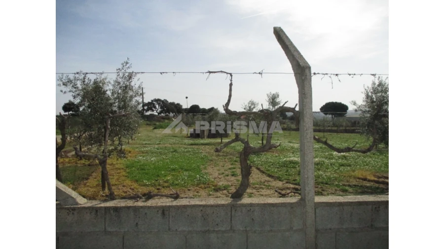 Terreno para Venda em Castelo Branco Foto 2