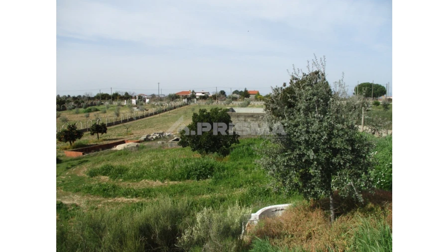 Terreno para Venda em Castelo Branco Foto 5