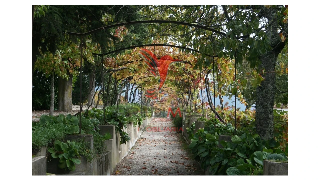 Quinta T8 para Venda em Cumieira Foto 16