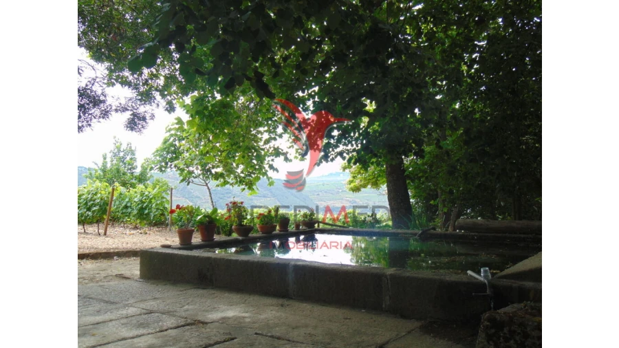 Quinta T8 para Venda em Cumieira Foto 20