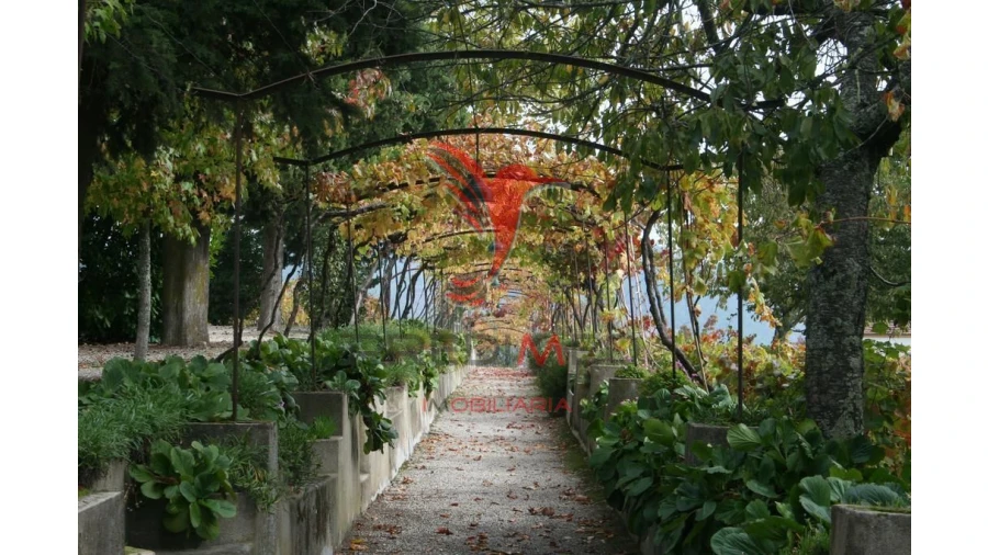 Quinta T8 para Venda em Cumieira Foto 16