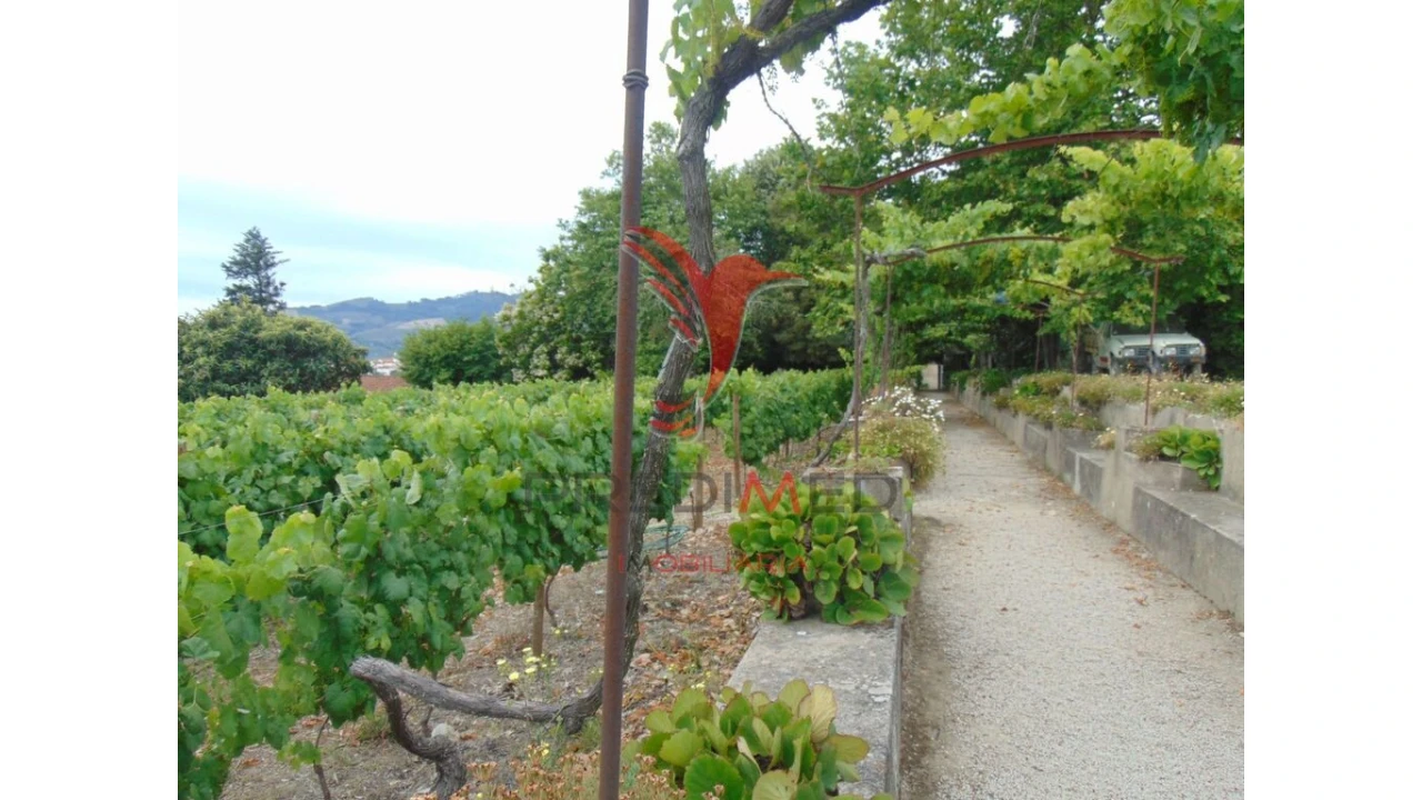 Quinta T8 para Venda em Cumieira Foto 17