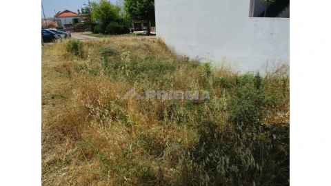 Terreno para Venda em Castelo Branco