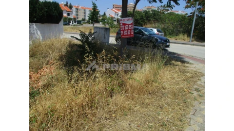 Terreno para Venda em Castelo Branco