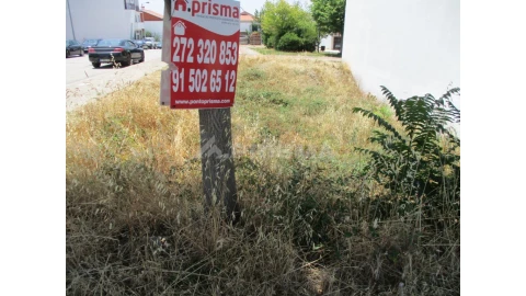 Terreno para Venda em Castelo Branco