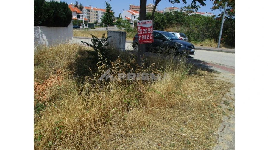 Terreno para Venda em Castelo Branco Foto 2