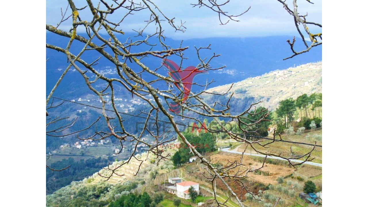 Terreno para Venda em Torgueda Foto 12