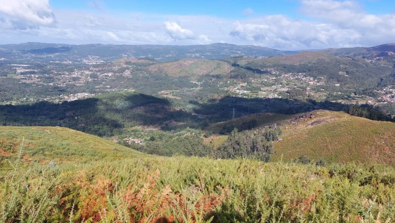 Terreno para Venda em Caldelas, Sequeiros e Paranhos Foto 4