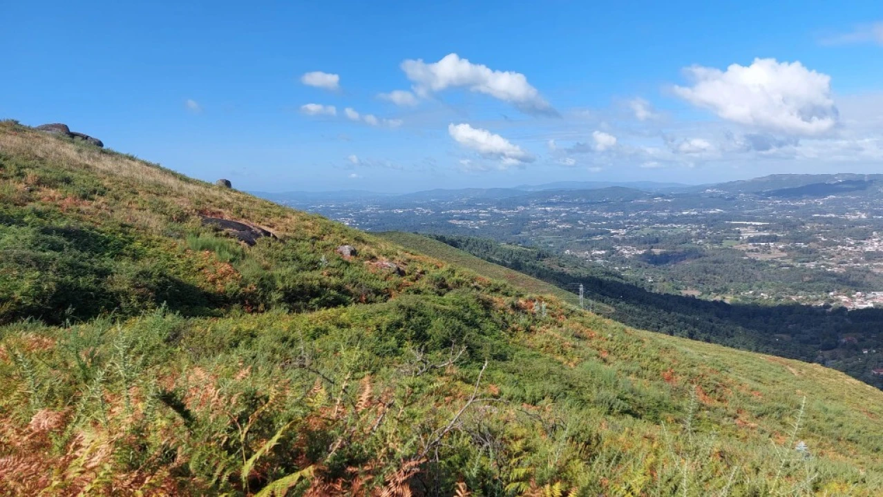 Terreno para Venda em Caldelas, Sequeiros e Paranhos Foto 6