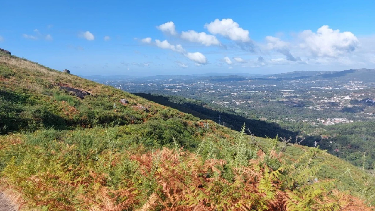 Terreno para Venda em Caldelas, Sequeiros e Paranhos Foto 9