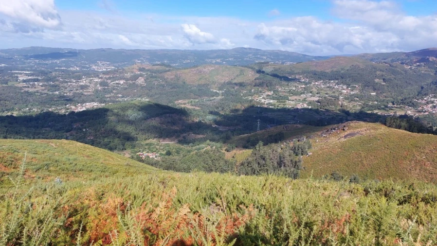 Terreno para Venda em Caldelas, Sequeiros e Paranhos Foto 4
