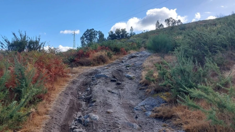 Terreno para Venda em Caldelas, Sequeiros e Paranhos Foto 2