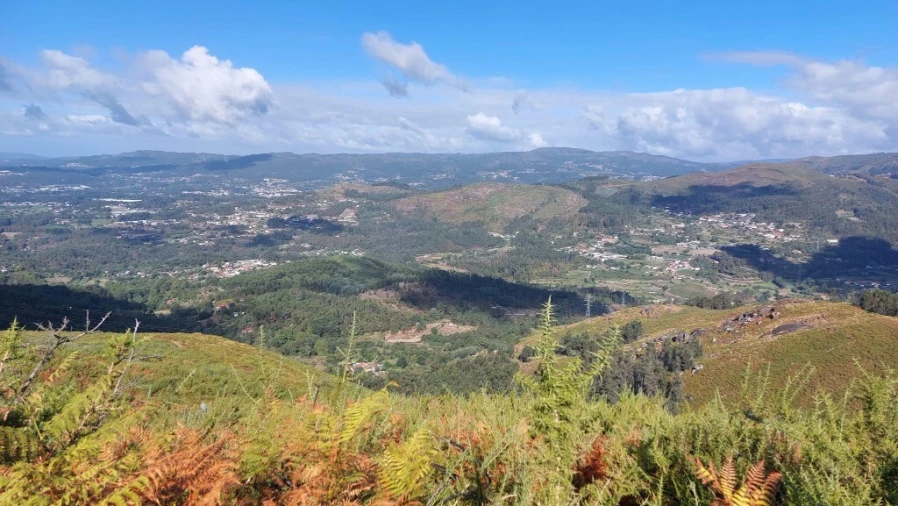 Terreno para Venda em Caldelas, Sequeiros e Paranhos Foto 8
