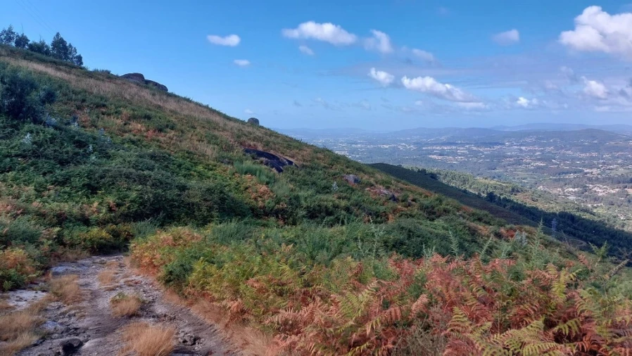 Terreno para Venda em Caldelas, Sequeiros e Paranhos