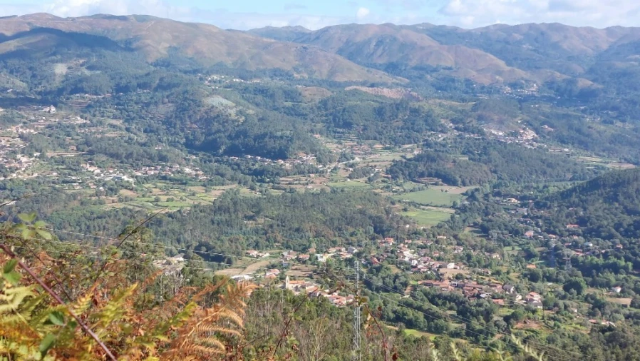 Terreno para Venda em Caldelas, Sequeiros e Paranhos Foto 11