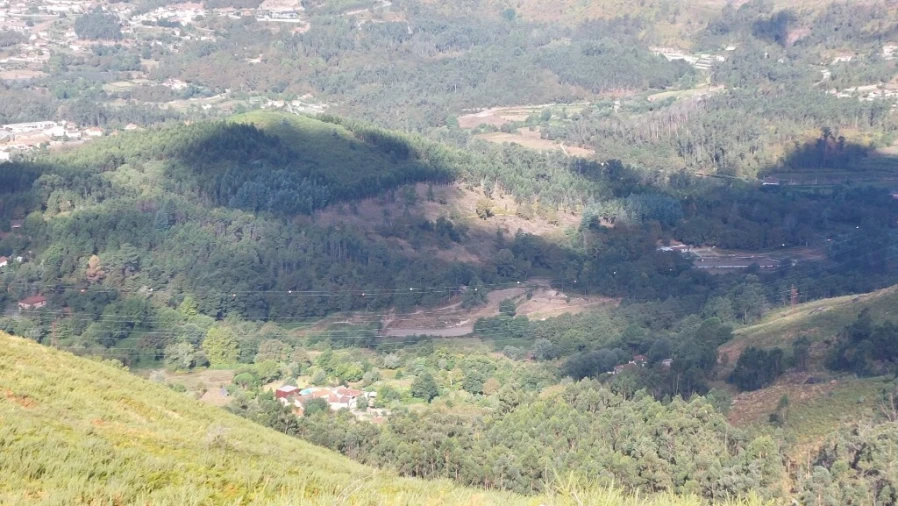 Terreno para Venda em Caldelas, Sequeiros e Paranhos Foto 3