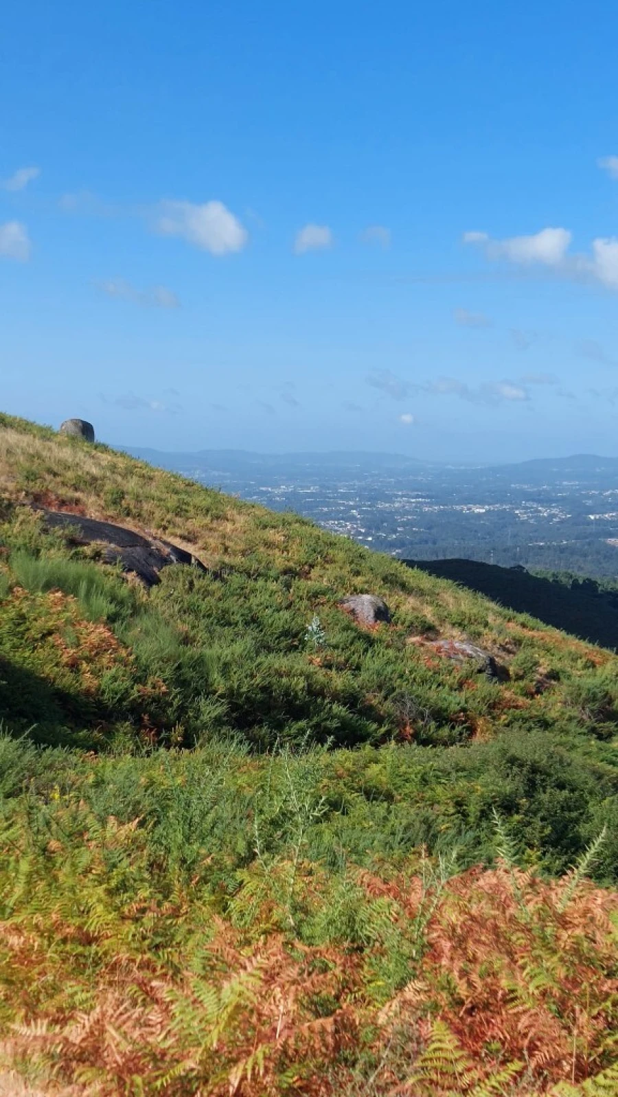 Terreno para Venda em Caldelas, Sequeiros e Paranhos Foto 10