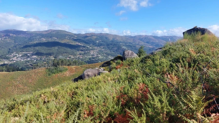 Terreno para Venda em Caldelas, Sequeiros e Paranhos Foto 5