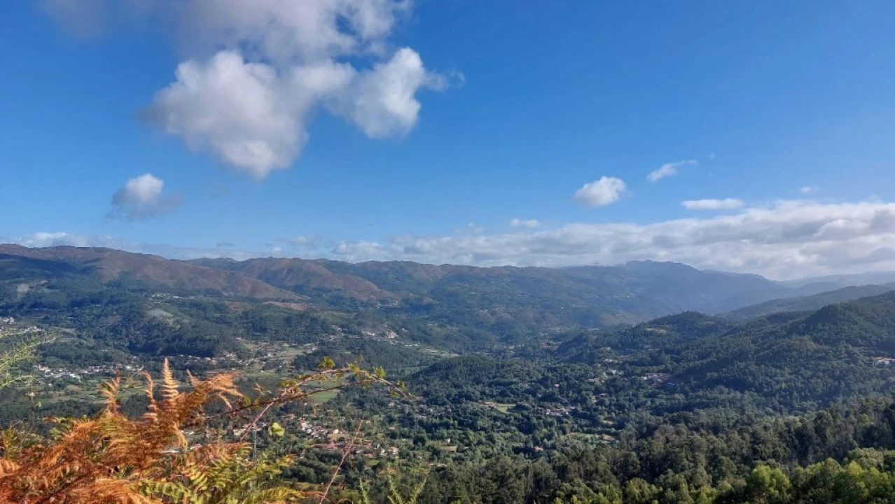 Terreno para Venda em Caldelas, Sequeiros e Paranhos Foto 12