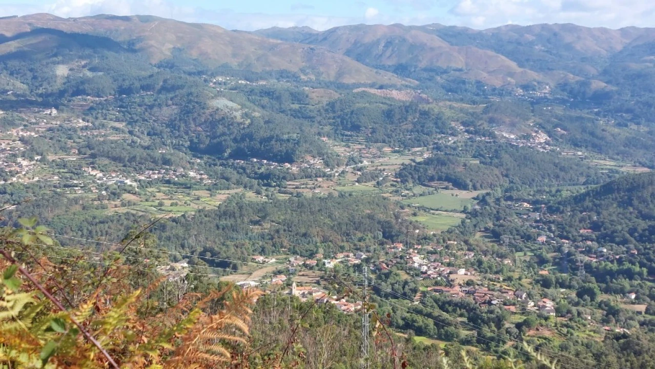 Terreno para Venda em Caldelas, Sequeiros e Paranhos Foto 11
