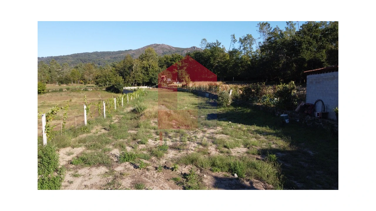 Terreno para Venda em Torre e Portela Foto 21
