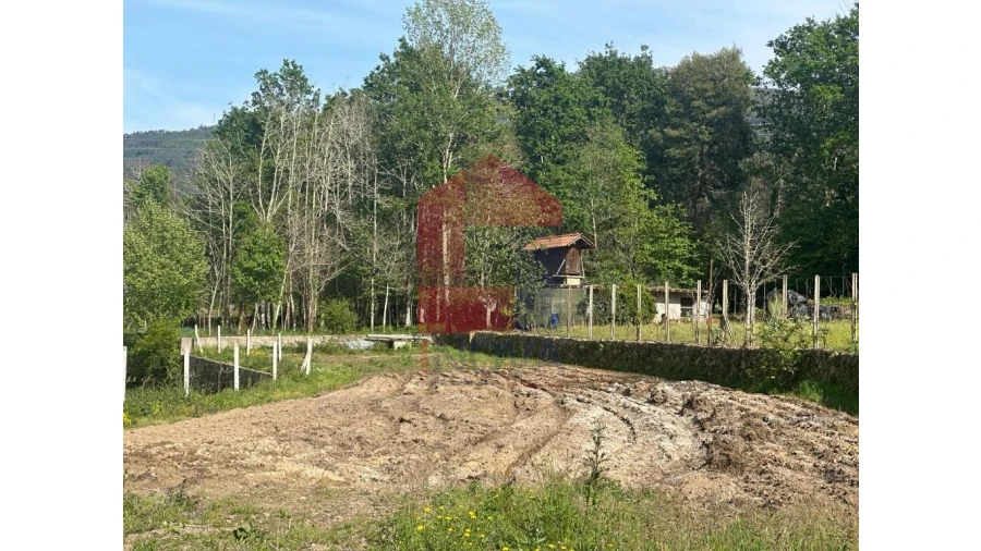 Terreno para Venda em Torre e Portela Foto 17