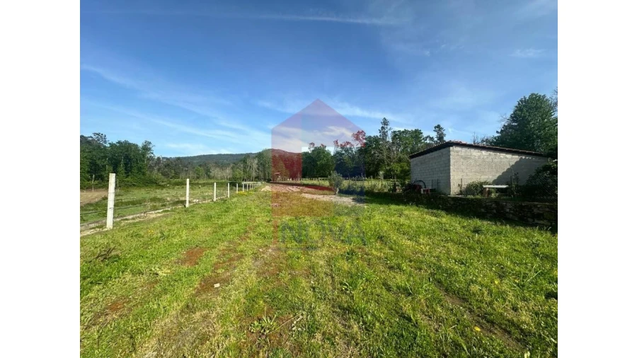 Terreno para Venda em Torre e Portela Foto 6