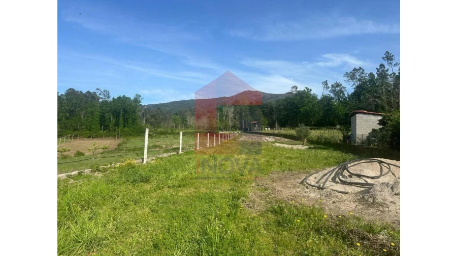 Terreno para Venda em Torre e Portela Foto 5