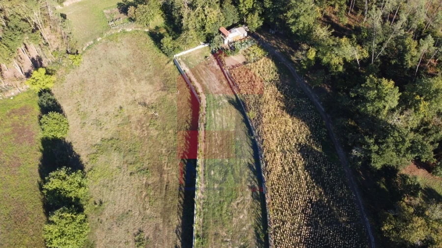 Terreno para Venda em Torre e Portela Foto 30