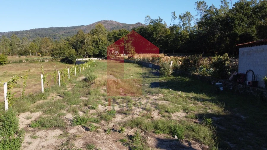 Terreno para Venda em Torre e Portela Foto 21