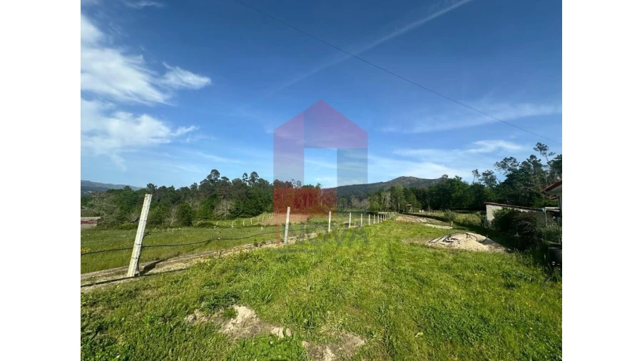 Terreno para Venda em Torre e Portela Foto 4