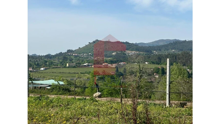 Terreno para Venda em Torre e Portela Foto 13