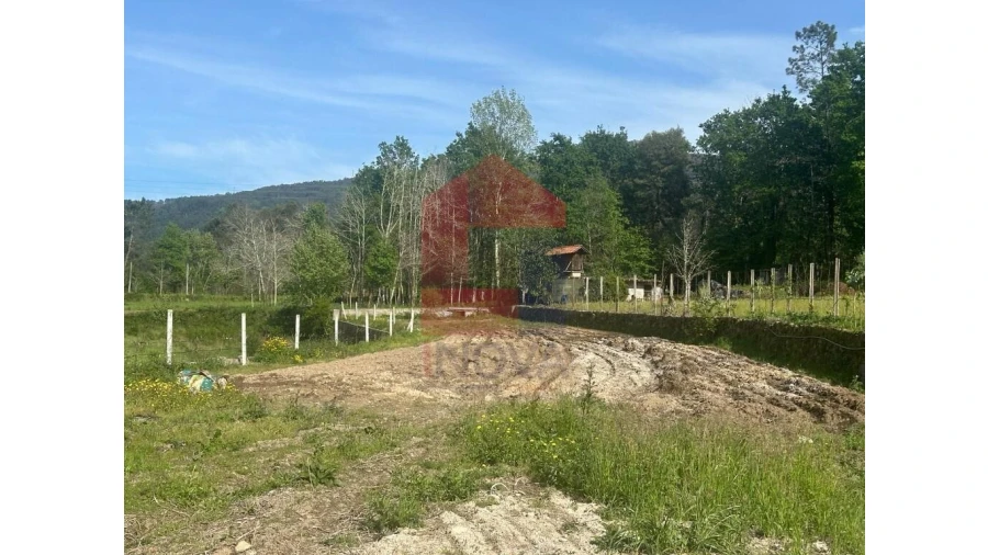 Terreno para Venda em Torre e Portela Foto 16