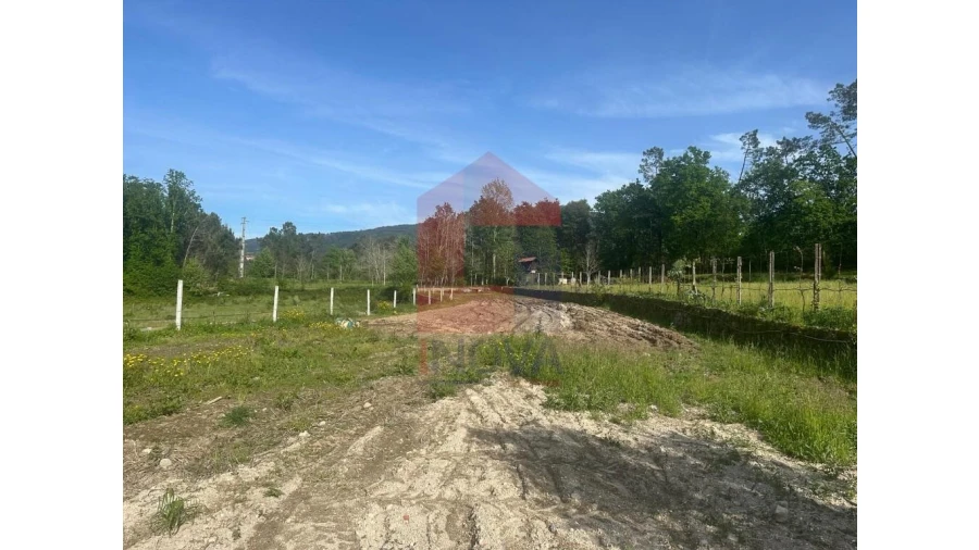 Terreno para Venda em Torre e Portela Foto 18